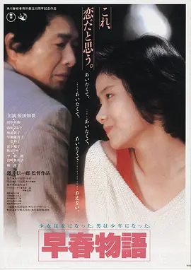 久久久久少妇 经典电影解析